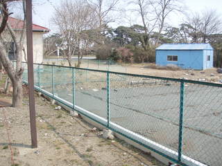 P3300042.JPG