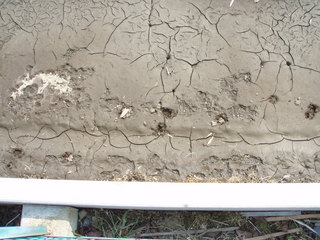 P3300043.JPG