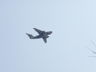 P3300045.JPG